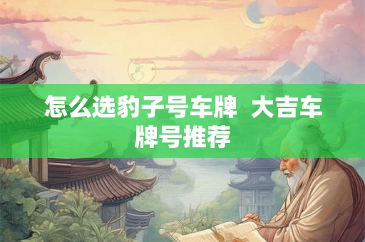 怎么选豹子号车牌  大吉车牌号推荐