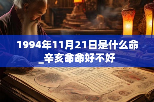 1994年11月21日是什么命_辛亥命命好不好