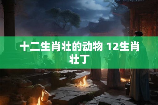 十二生肖壮的动物 12生肖壮丁