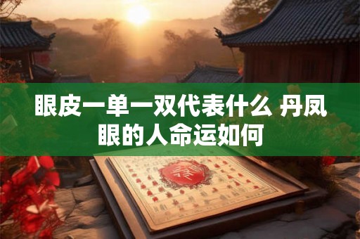 眼皮一单一双代表什么 丹凤眼的人命运如何