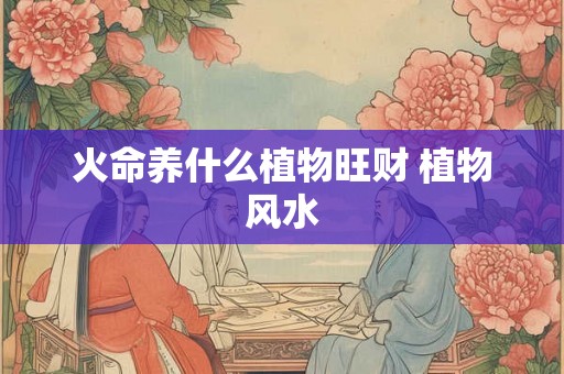 火命养什么植物旺财 植物风水