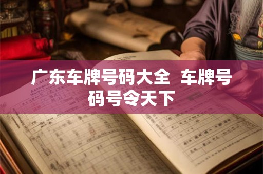 广东车牌号码大全  车牌号码号令天下