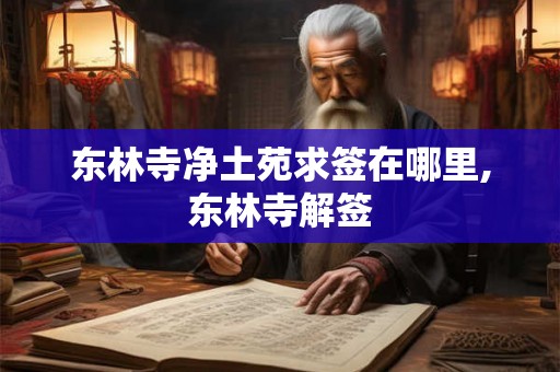 东林寺净土苑求签在哪里,东林寺解签