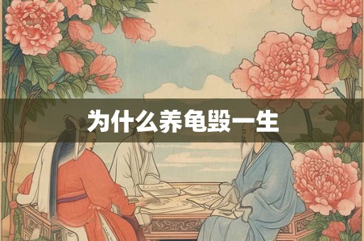 为什么养龟毁一生