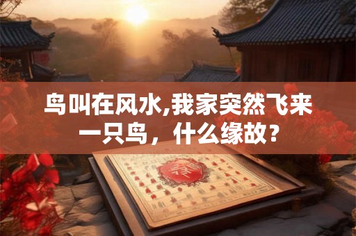 鸟叫在风水,我家突然飞来一只鸟，什么缘故？