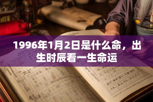 1996年1月2日是什么命，出生时辰看一生命运
