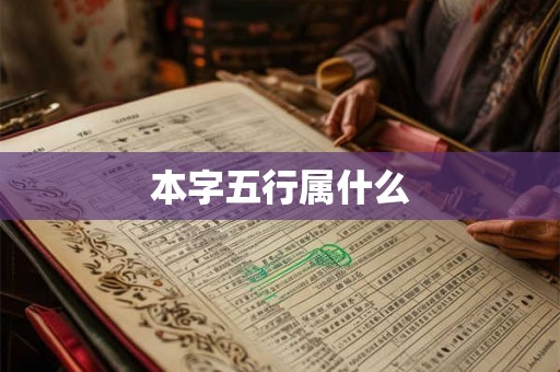 本字五行属什么 本字五行属什么