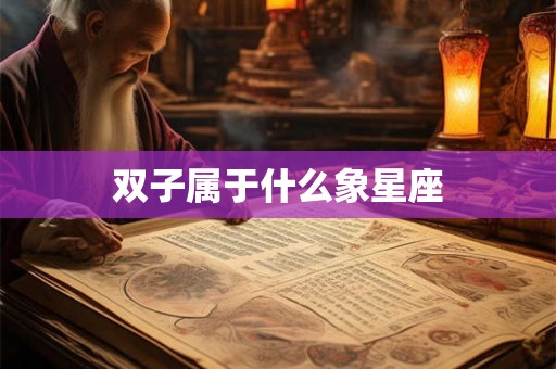 双子属于什么象星座