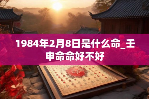 1984年2月8日是什么命_壬申命命好不好