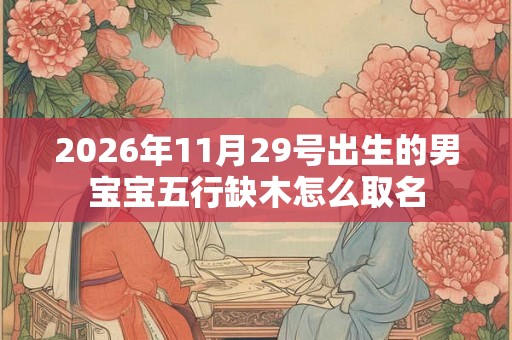 2026年11月29号出生的男宝宝五行缺木怎么取名