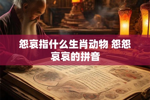怨哀指什么生肖动物 怨怨哀哀的拼音