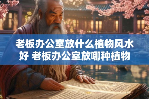 老板办公室放什么植物风水好 老板办公室放哪种植物最适合 老板办公室放什么植物风水好 老板办公室放哪种植物最适合