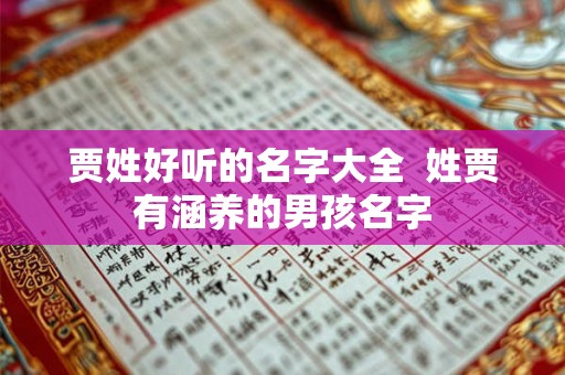 贾姓好听的名字大全  姓贾有涵养的男孩名字