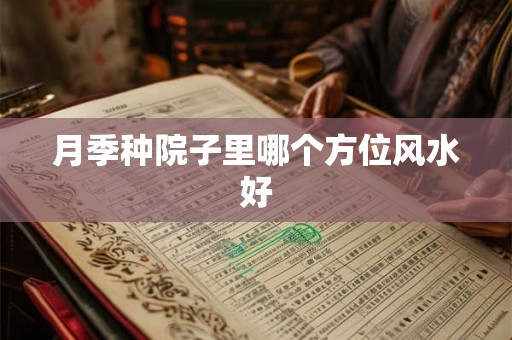 月季种院子里哪个方位风水好
