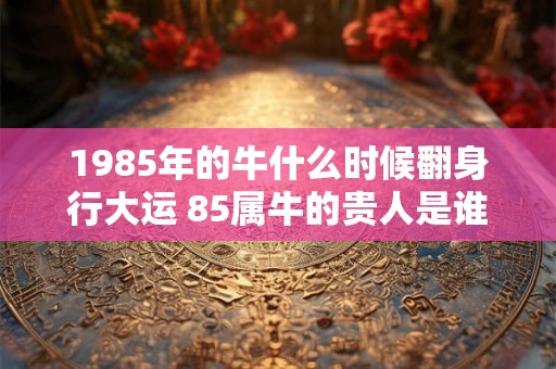 1985年的牛什么时候翻身行大运 85属牛的贵人是谁