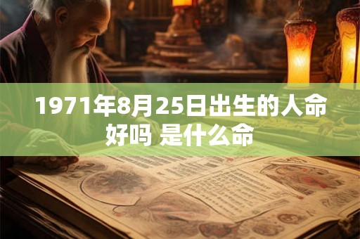 1971年8月25日出生的人命好吗 是什么命