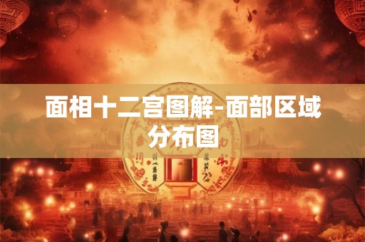 面相十二宫图解-面部区域分布图