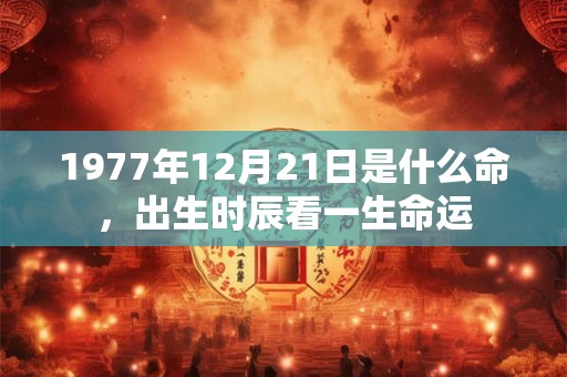1977年12月21日是什么命，出生时辰看一生命运