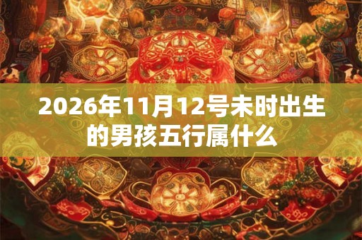 2026年11月12号未时出生的男孩五行属什么 2026年11月12号未时出生的男孩五行属什么