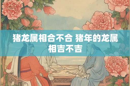 猪龙属相合不合 猪年的龙属相吉不吉 猪龙属相合不合 猪年的龙属相吉不吉