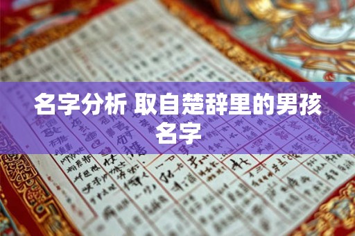 名字分析 取自楚辞里的男孩名字