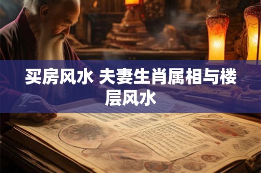 买房风水 夫妻生肖属相与楼层风水 买房风水 夫妻生肖属相与楼层风水