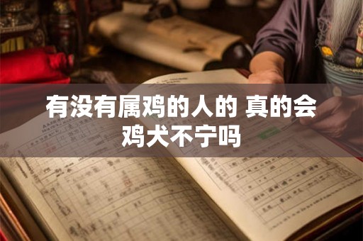 有没有属鸡的人的 真的会鸡犬不宁吗