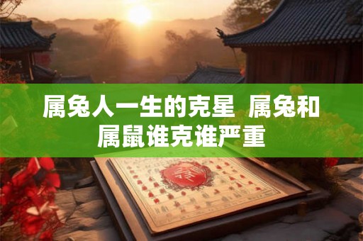 属兔人一生的克星  属兔和属鼠谁克谁严重