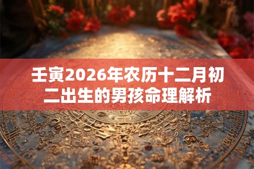 壬寅2026年农历十二月初二出生的男孩命理解析 壬寅2026年农历十二月初二出生的男孩命理解析