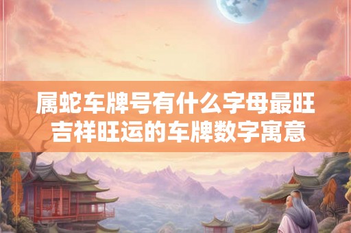 属蛇车牌号有什么字母最旺 吉祥旺运的车牌数字寓意
