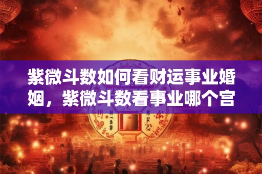 紫微斗数如何看财运事业婚姻，紫微斗数看事业哪个宫