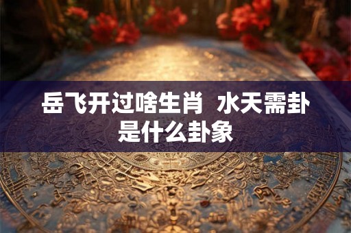 岳飞开过啥生肖  水天需卦是什么卦象