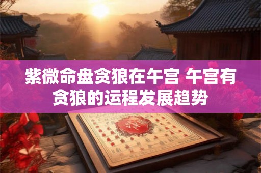 紫微命盘贪狼在午宫 午宫有贪狼的运程发展趋势