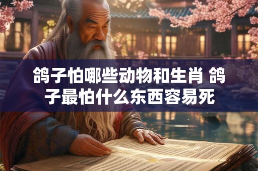 鸽子怕哪些动物和生肖 鸽子最怕什么东西容易死 鸽子怕哪些动物和生肖 鸽子最怕什么东西容易死