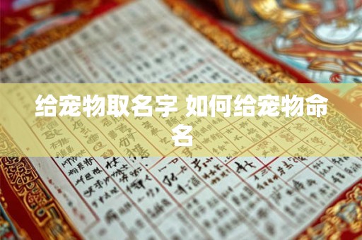 给宠物取名字 如何给宠物命名