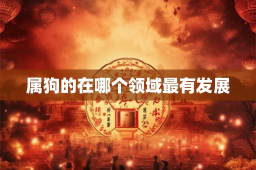 属狗的在哪个领域最有发展 属狗的在哪个领域最有发展