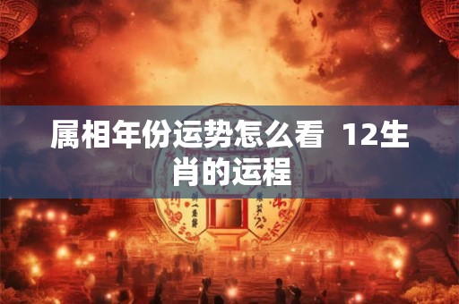 属相年份运势怎么看  12生肖的运程