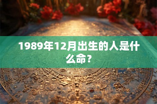 1989年12月出生的人是什么命？