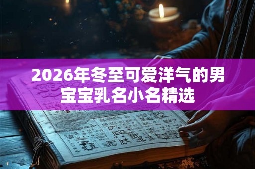 2026年冬至可爱洋气的男宝宝乳名小名精选