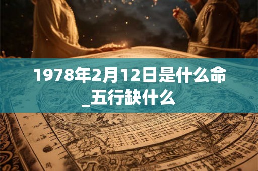 1978年2月12日是什么命_五行缺什么