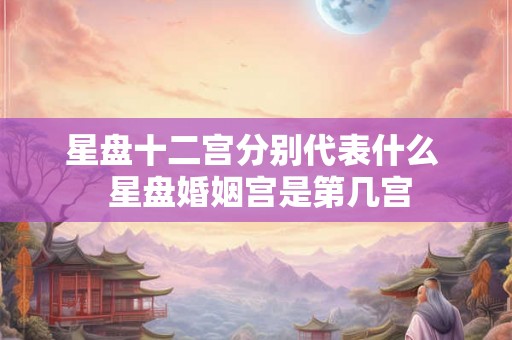 星盘十二宫分别代表什么  星盘婚姻宫是第几宫
