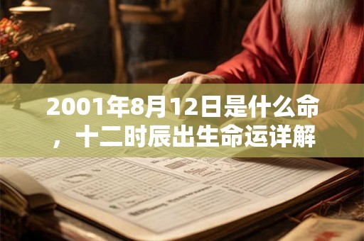 2001年8月12日是什么命，十二时辰出生命运详解