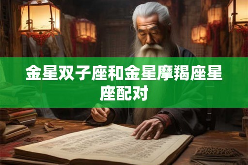 金星双子座和金星摩羯座星座配对