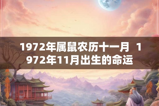 1972年属鼠农历十一月  1972年11月出生的命运