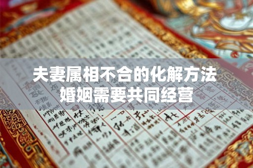 夫妻属相不合的化解方法 婚姻需要共同经营 夫妻属相不合的化解方法 婚姻需要共同经营