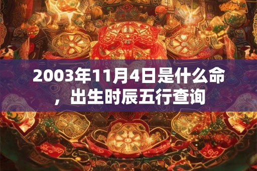 2003年11月4日是什么命，出生时辰五行查询