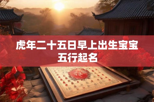 虎年二十五日早上出生宝宝五行起名