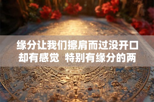 缘分让我们擦肩而过没开口却有感觉 特别有缘分的两个人 缘分让我们擦肩而过没开口却有感觉 特别有缘分的两个人