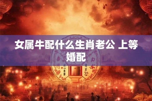 女属牛配什么生肖老公 上等婚配