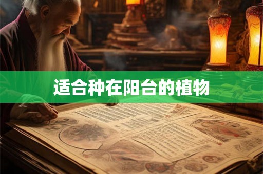 适合种在阳台的植物